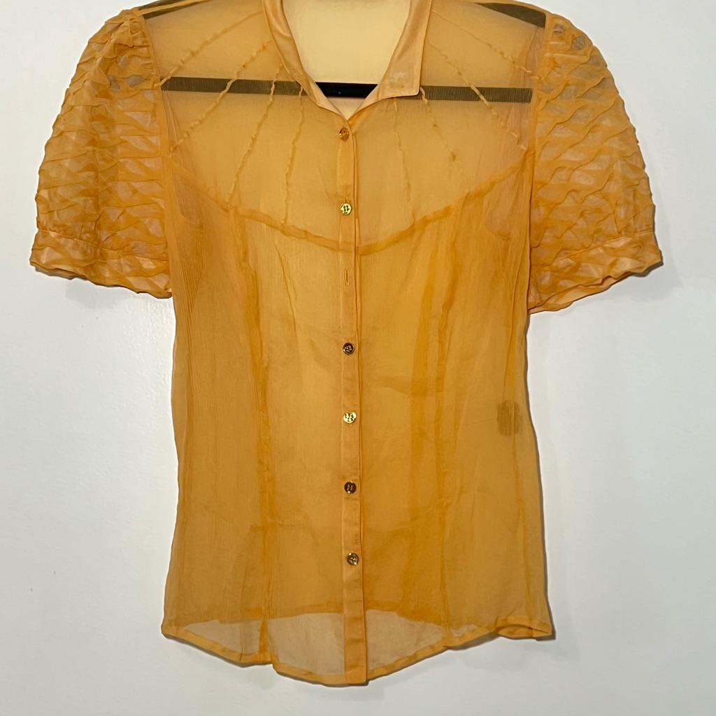 Vintage Elegant Sheer Orange Blouse